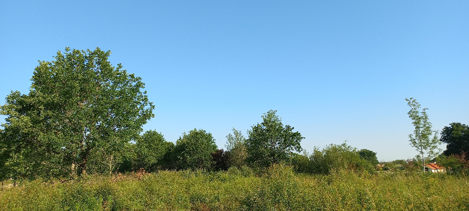 Terrain à bâtir à Montpon-Ménestérol (24700)