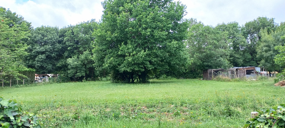Terrain à bâtir à Ménesplet (24700)