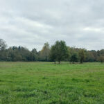 Terrain à bâtir à Ménesplet (24700)