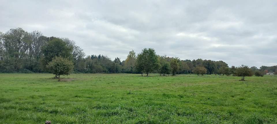 Terrain à bâtir à Ménesplet (24700)