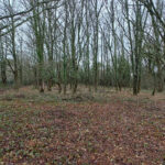 Terrain à bâtir à Saint-Médard-de-Mussidan (24400)