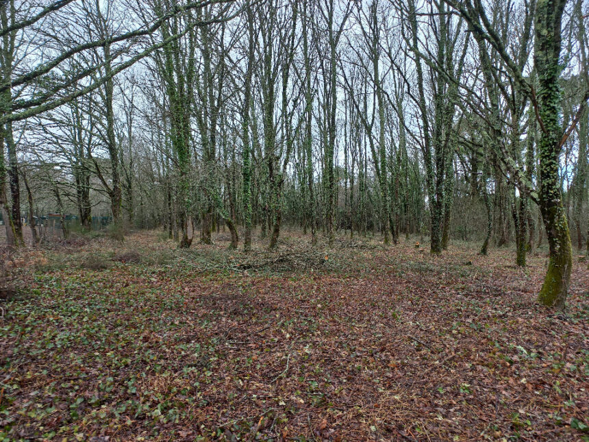 Terrain à bâtir à Saint-Médard-de-Mussidan (24400)
