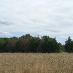 Maison à construire à Eygurande-et-Gardedeuil (24700)