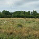 Terrain à bâtir à Ménesplet (24700)