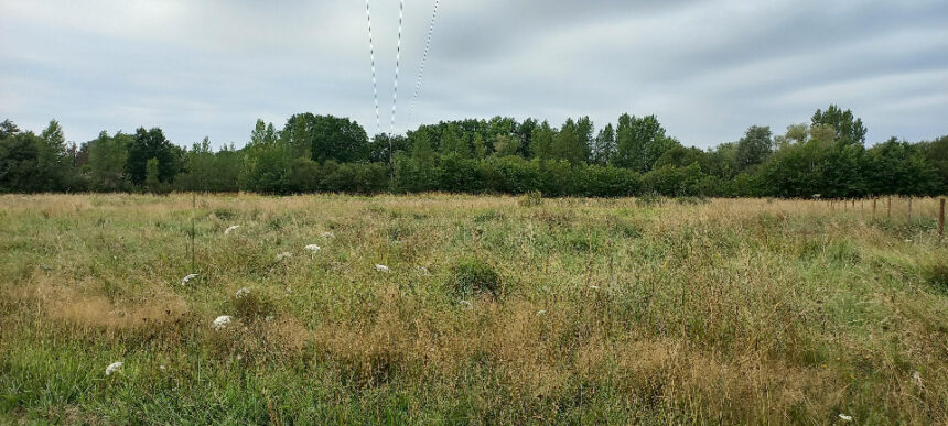 Terrain à bâtir à Ménesplet (24700)