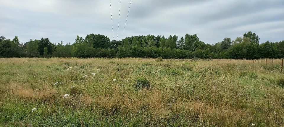 Terrain à bâtir à Ménesplet (24700)
