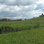 Terrain à bâtir à Carsac-de-Gurson (24610)
