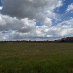 Maison à construire à Saint-Pardon-de-Conques (33210)