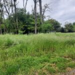 Maison à construire à Bruges (33520)