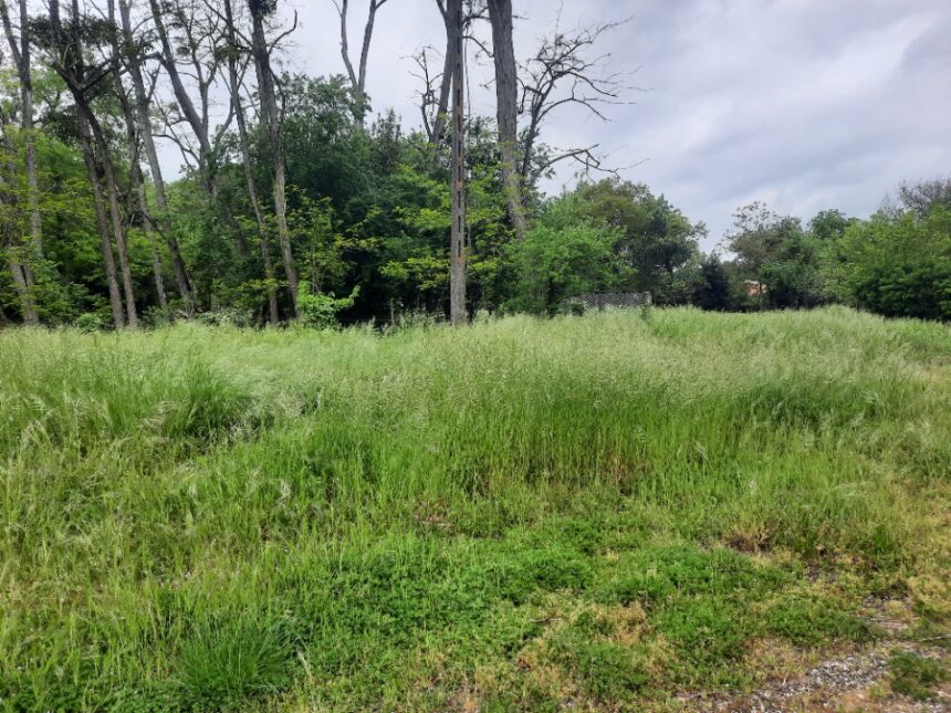 Maison à construire à Bruges (33520)