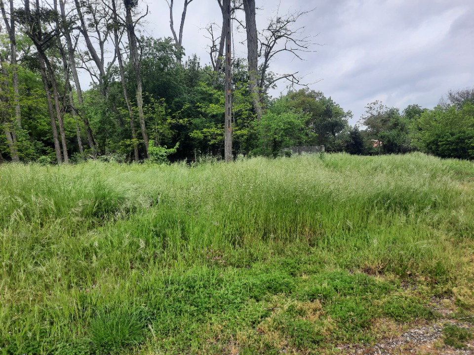 Terrain à bâtir à Bruges (33520)