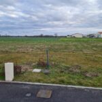 Terrain à bâtir à Corme-Royal (17600)