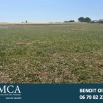 Terrain à bâtir à Mornac-sur-Seudre (17113)