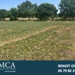 Terrain à bâtir à Mornac-sur-Seudre (17113)