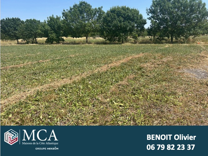 Terrain à bâtir à Mornac-sur-Seudre (17113)