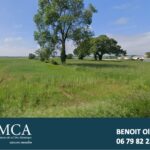 Terrain à bâtir à Saujon (17600)