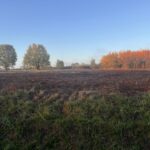 Maison à construire à Targon (33760)