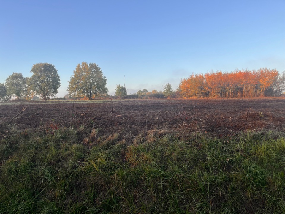 Terrain à bâtir à Créon (33670)