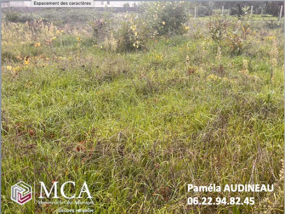 Terrain à bâtir à Podensac (33720)