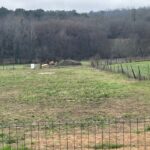 Maison à construire à Paillet (33550)