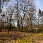 Terrain à bâtir à Landiras (33720)