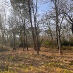 Maison à construire à Landiras (33720)