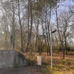 Terrain à bâtir à Landiras (33720)