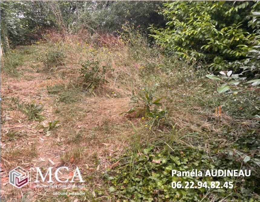 Maison à construire à Loupiac (33410)