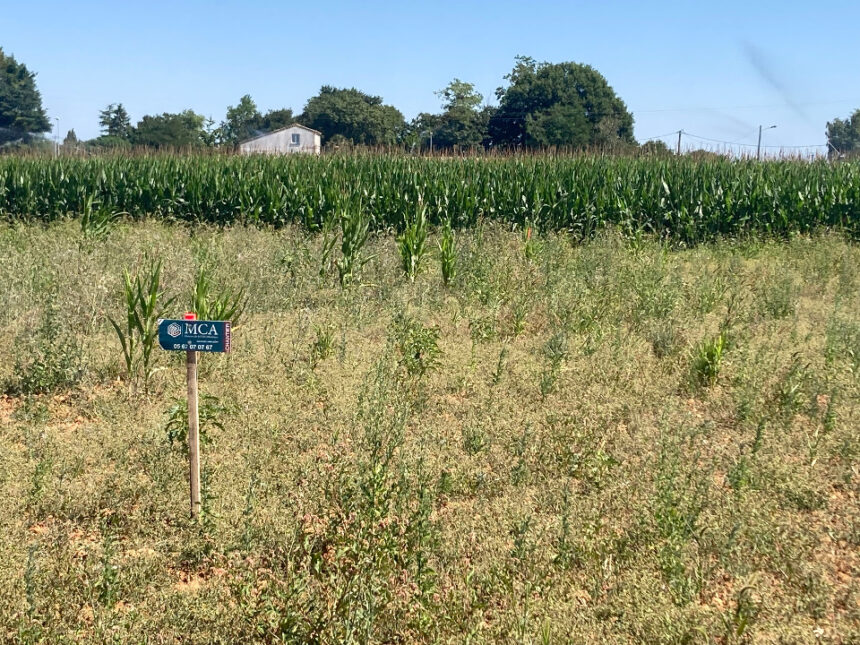 Terrain à bâtir à Balanzac (17600)