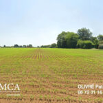 Maison à construire à Balanzac (17600)