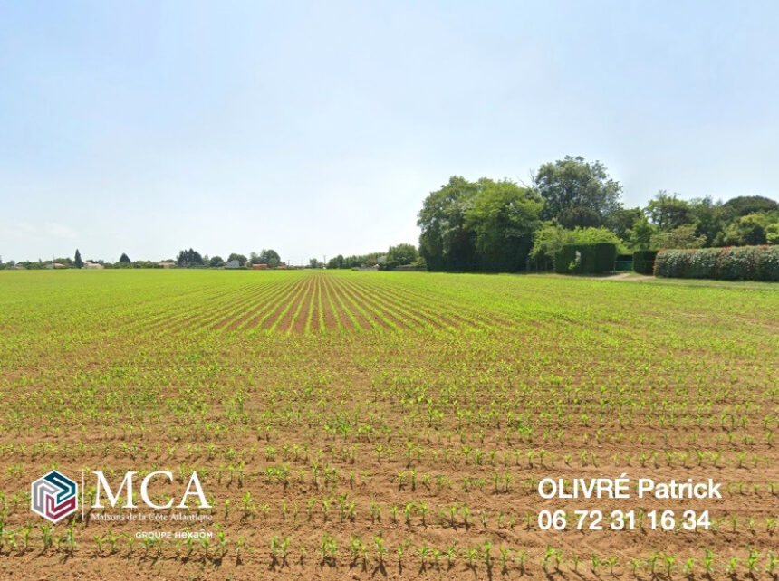 Terrain à bâtir à Balanzac (17600)