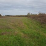 Maison à construire à Saint-Ciers-d’Abzac (33910)