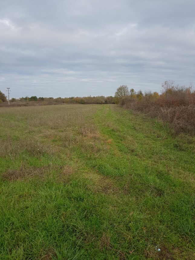 Terrain à bâtir à Saint-Ciers-d’Abzac (33910)
