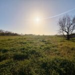 Terrain à bâtir à Lamonzie-Saint-Martin (24680)