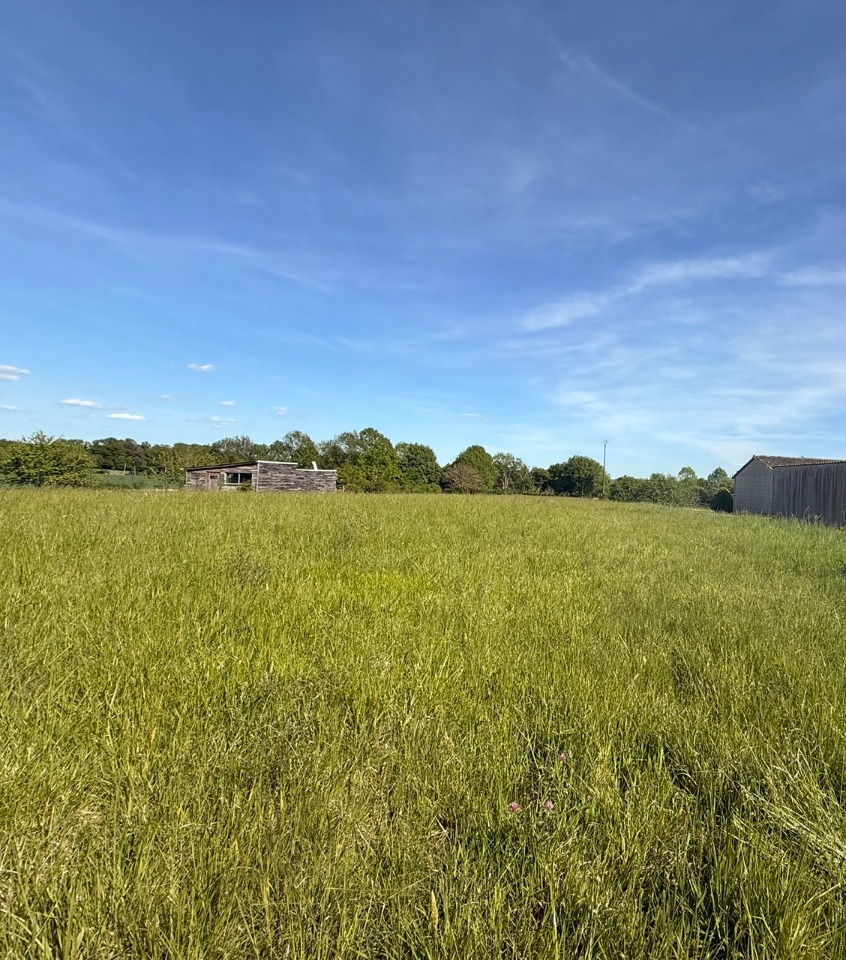 Terrain à bâtir à Saint-Agne (24520)