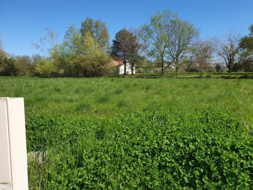 Terrain à bâtir à Saint-André-de-Cubzac (33240)