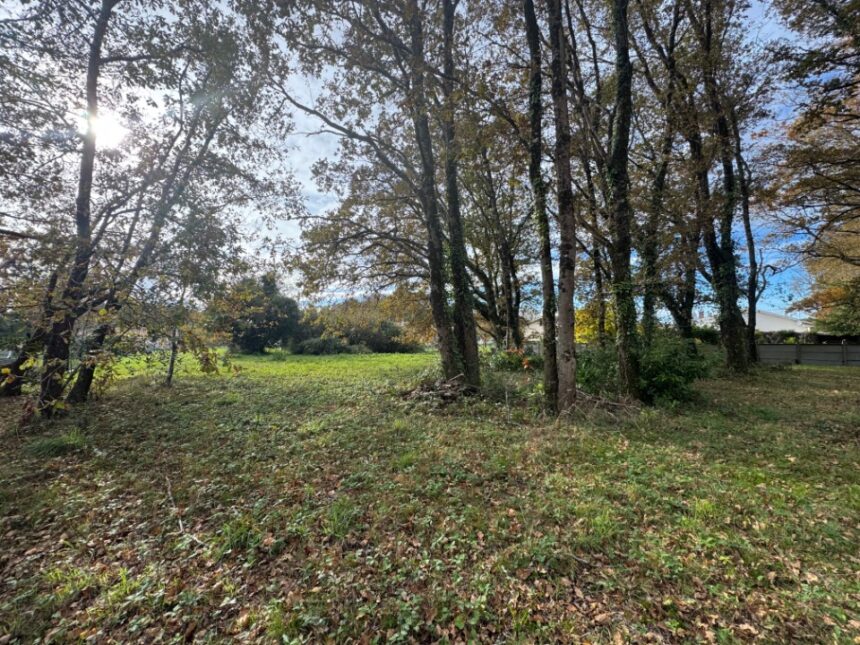 Terrain à bâtir à Lesparre-Médoc (33340)