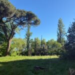 Terrain à bâtir à Le Pout (33670)