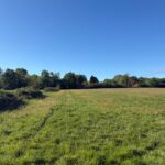 Terrain à bâtir à Le Pout (33670)