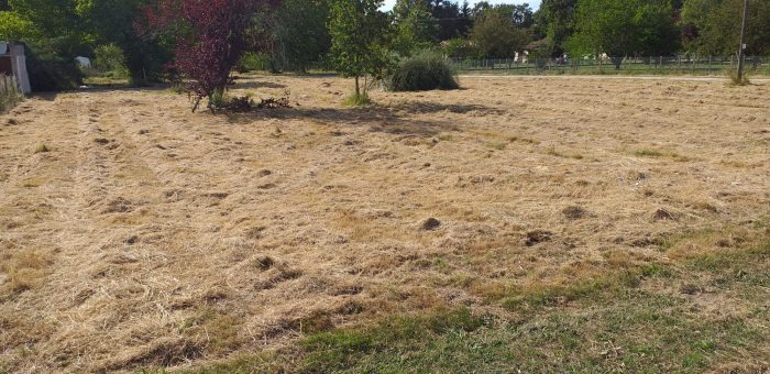 Terrain à bâtir à Saint-Vivien-de-Médoc (33590)