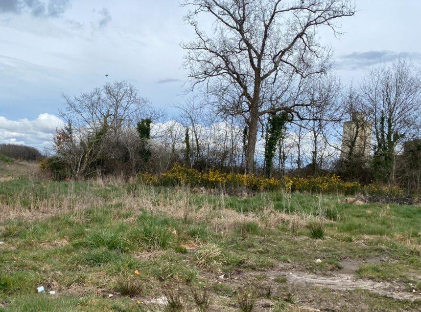 Terrain à bâtir à Breuillet (17920)