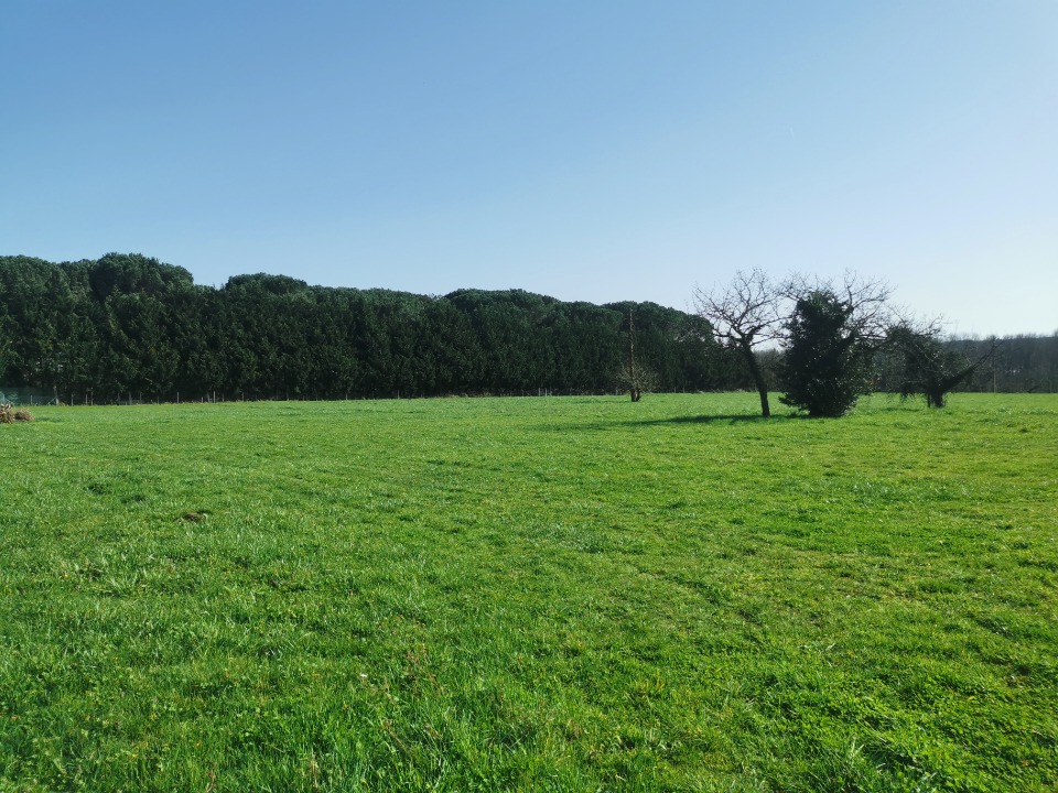 Terrain à bâtir à Coimères (33210)