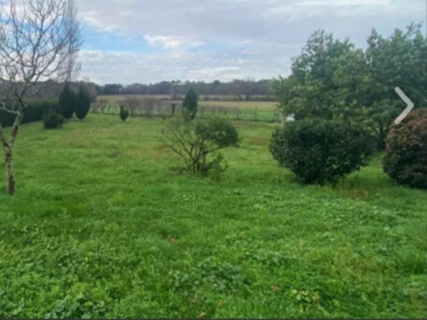 Terrain à bâtir à Cartelègue (33390)