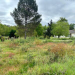 Terrain à bâtir à Mimizan (40200)