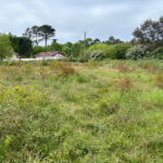 Terrain à bâtir à Mimizan (40200)