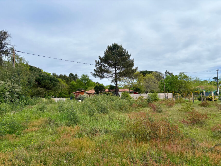 Terrain à bâtir à Mimizan (40200)