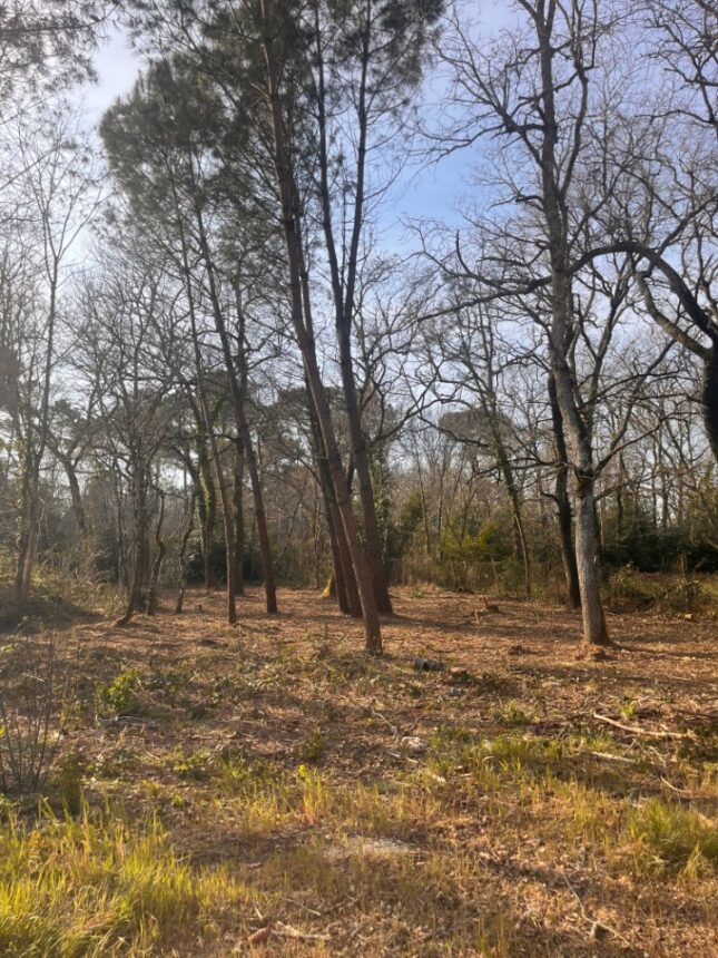 Terrain à bâtir à Landiras (33720)