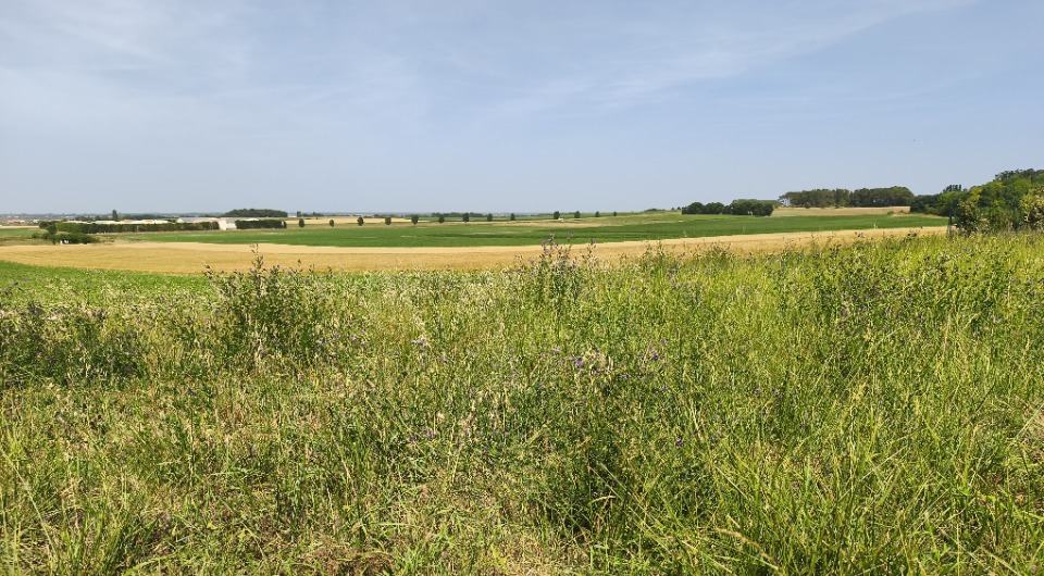 Terrain à bâtir à Étaules (17750)