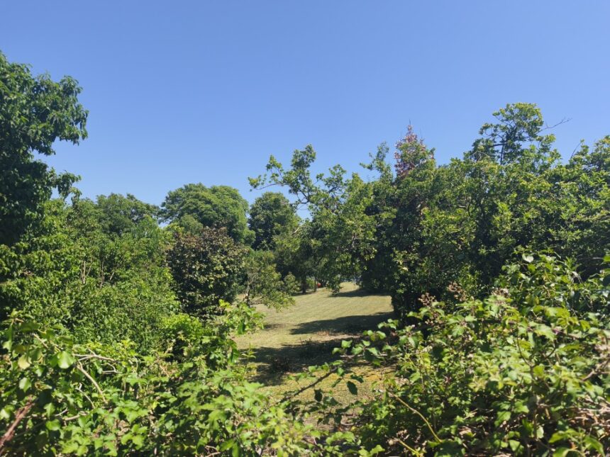 Terrain à bâtir à Chaillevette (17890)