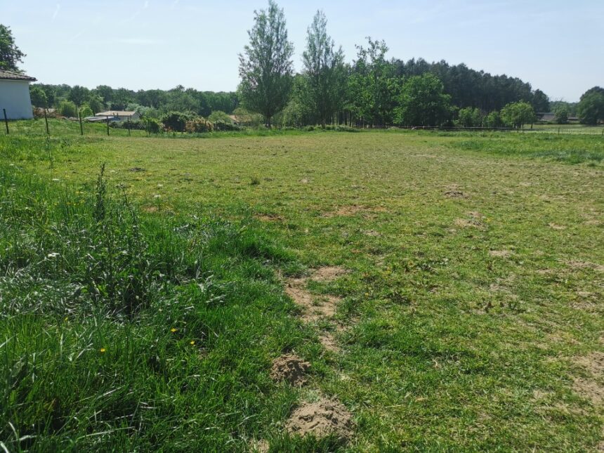 Terrain à bâtir à Coimères (33210)